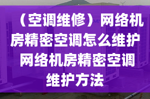 （空调维修）网络机房精密空调怎么维护 网络机房精密空调维护方法