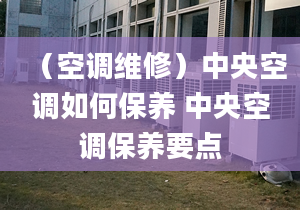 （空调维修）中央空调如何保养 中央空调保养要点