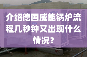 介绍德国威能锅炉流程几秒钟又出现什么情况？