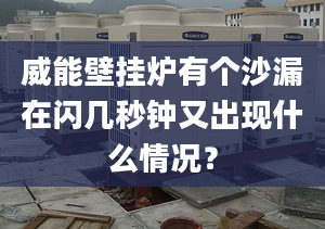 威能壁挂炉有个沙漏在闪几秒钟又出现什么情况？