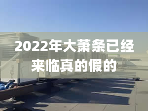 2022年大萧条已经来临真的假的