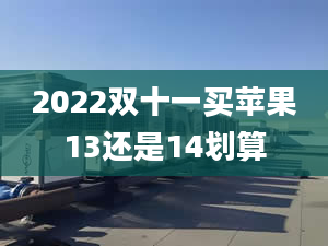 2022双十一买苹果13还是14划算