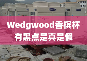 Wedgwood香槟杯有黑点是真是假