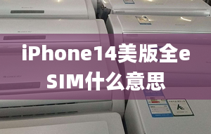 iPhone14美版全eSIM什么意思