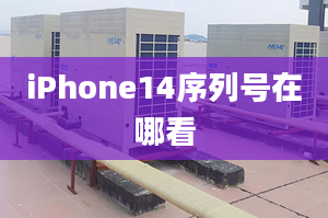 iPhone14序列号在哪看