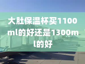 大肚保温杯买1100ml的好还是1300ml的好