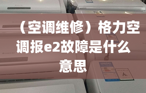 （空调维修）格力空调报e2故障是什么意思