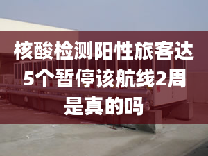 核酸检测阳性旅客达5个暂停该航线2周是真的吗