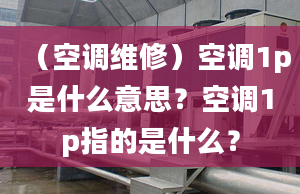 （空调维修）空调1p是什么意思？空调1p指的是什么？