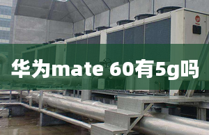 华为mate 60有5g吗