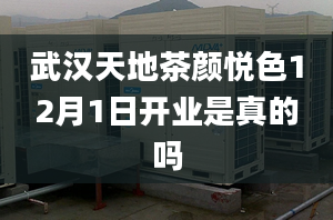 武汉天地茶颜悦色12月1日开业是真的吗