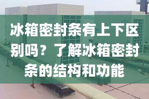 冰箱密封条有上下区别吗？了解冰箱密封条的结构和功能