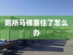 厕所马桶塞住了怎么办