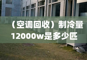 （空调回收）制冷量12000w是多少匹