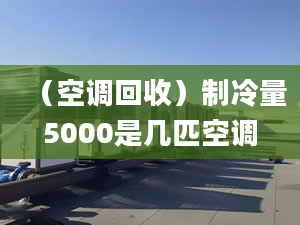 （空调回收）制冷量5000是几匹空调