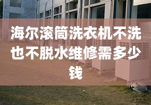 海尔滚筒洗衣机不洗也不脱水维修需多少钱