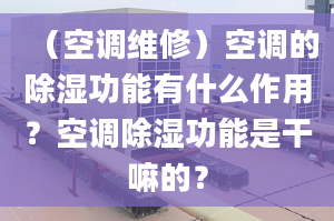 （空调维修）空调的除湿功能有什么作用？空调除湿功能是干嘛的？