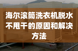 海尔滚筒洗衣机脱水不甩干的原因和解决方法