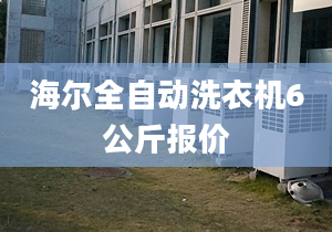 海尔全自动洗衣机6公斤报价