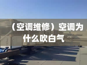 （空调维修）空调为什么吹白气