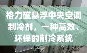 格力磁悬浮中央空调制冷剂，一种高效、环保的制冷系统