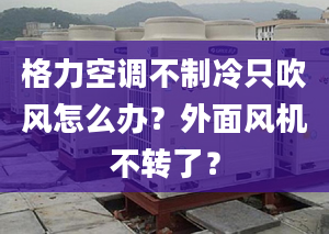 格力空调不制冷只吹风怎么办？外面风机不转了？