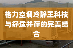 格力空调冷静王科技与舒适并存的完美结合