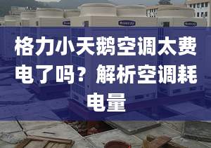 格力小天鹅空调太费电了吗？解析空调耗电量