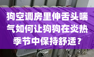 狗空调房里伸舌头喘气如何让狗狗在炎热季节中保持舒适？