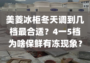 美菱冰柜冬天调到几档最合适？4一5档为啥保鲜有冻现象？