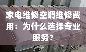 家电维修空调维修费用：为什么选择专业服务？