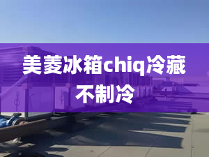 美菱冰箱chiq冷藏不制冷