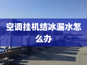 空调挂机结冰漏水怎么办