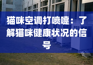 猫咪空调打喷嚏：了解猫咪健康状况的信号