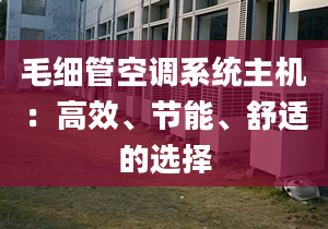 毛细管空调系统主机：高效、节能、舒适的选择