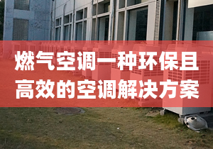 燃气空调一种环保且高效的空调解决方案