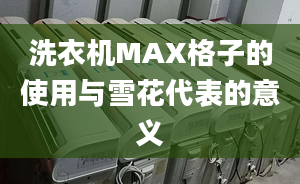 洗衣机MAX格子的使用与雪花代表的意义