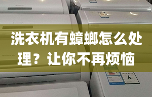 洗衣机有蟑螂怎么处理？让你不再烦恼