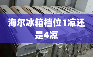 海尔冰箱档位1凉还是4凉