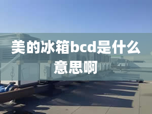 美的冰箱bcd是什么意思啊