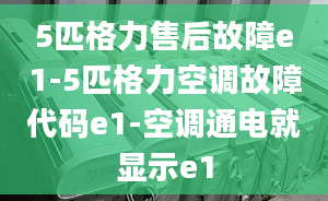 5匹格力售后故障e1-5匹格力空调故障代码e1-空调通电就显示e1