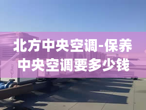 北方中央空调-保养中央空调要多少钱