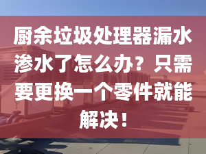 厨余垃圾处理器漏水渗水了怎么办？只需要更换一个零件就能解决！