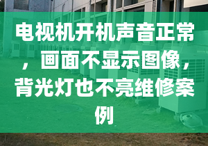 电视机开机声音正常，画面不显示图像，背光灯也不亮维修案例