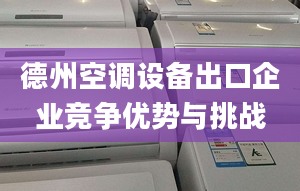 德州空调设备出口企业竞争优势与挑战