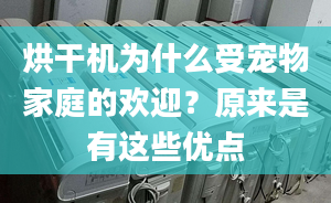 烘干机为什么受宠物家庭的欢迎？原来是有这些优点