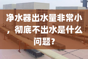 净水器出水量非常小，彻底不出水是什么问题？