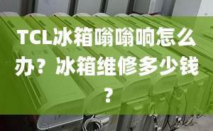 TCL冰箱嗡嗡响怎么办？冰箱维修多少钱？