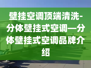 壁挂空调顶端清洗-分体壁挂式空调—分体壁挂式空调品牌介绍