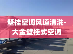 壁挂空调风道清洗-大金壁挂式空调